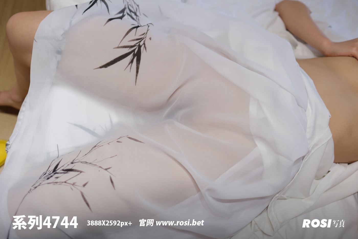 ROSI写真 2024.11.30 NO.4744